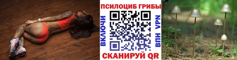 ссылка на мегу маркетплейс  Реж  Галлюциногенные грибы мицелий 