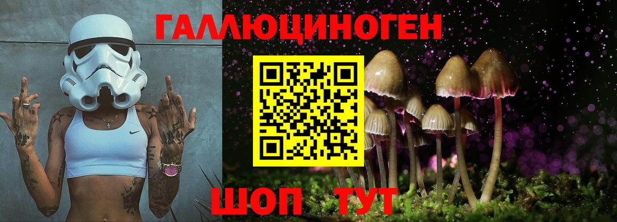 Галлюциногенные грибы Cubensis Реж