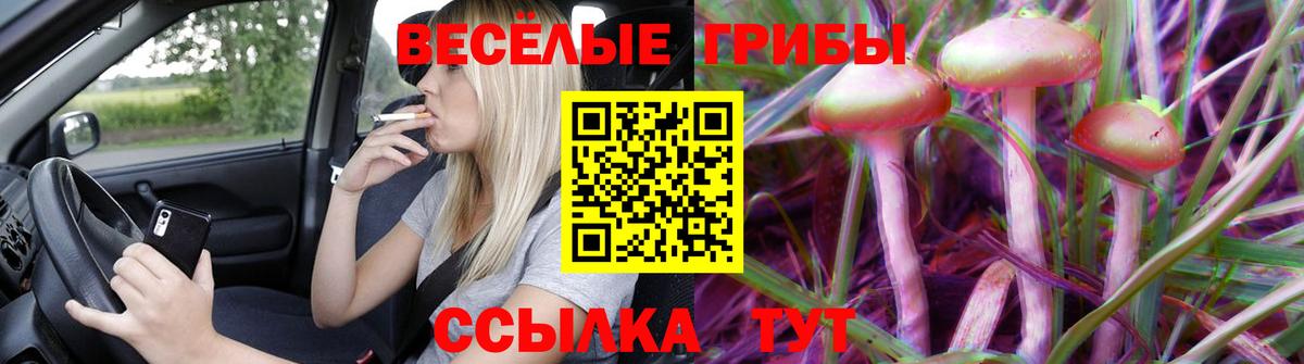 Галлюциногенные грибы Psilocybe  Вход с VPN  Реж 
